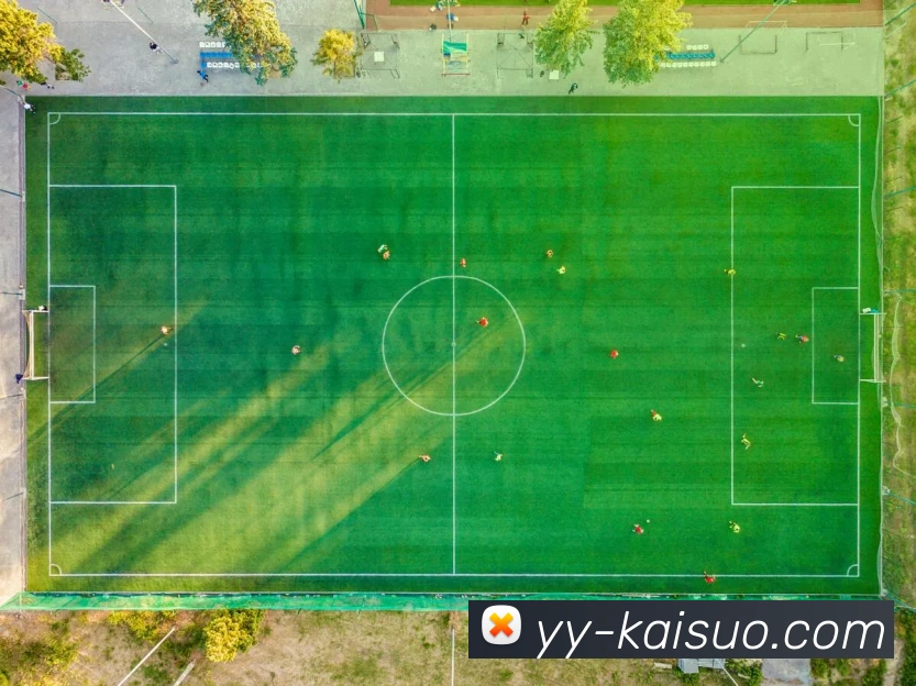 悟空体育APP 封面图